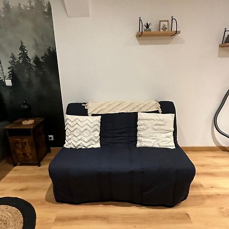La Sapiniere Apartment Troyes Bagian luar foto